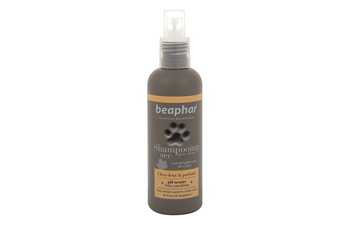 beaphar-shampoo-secco-cane-premium